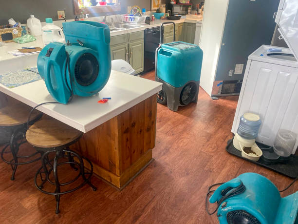 Water damage restoration insurance claims in Edina, MN