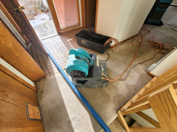 Water damage restoration experts in Edina, MN