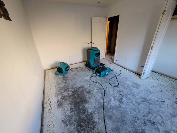 Best Water damage contractors near me  in Edina, MN