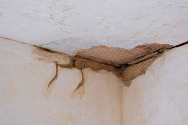 Best Water damage cleanup near me  in Edina, MN