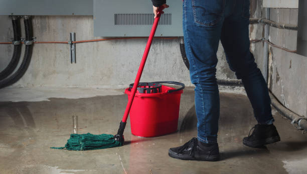 Best Flooded house restoration  in Edina, MN