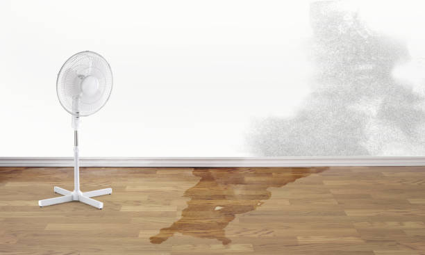 Sewage cleanup and water damage restoration in Edina, MN
