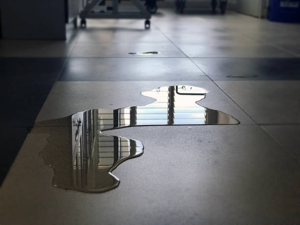 Best Water damage restoration near me  in Edina, MN