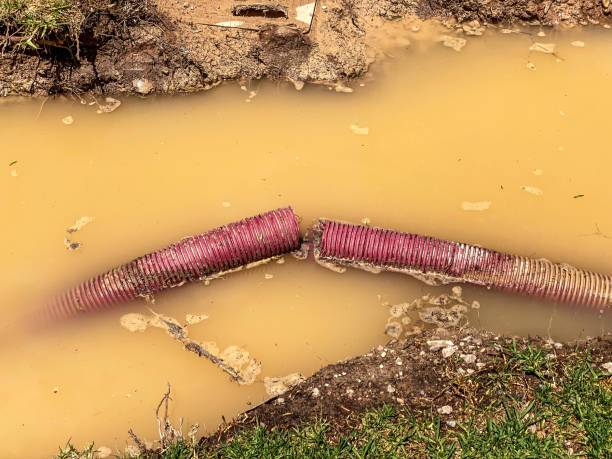 Best 24/7 water damage repair  in Edina, MN